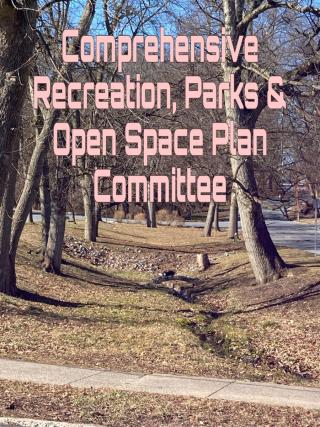 Comprehensive Recreation, Park & Open Space Plan Committee Meeting
