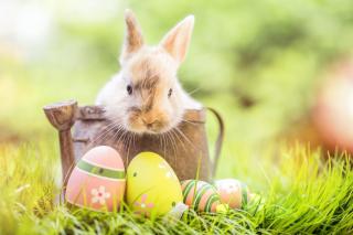 Farmers Almanac Easter Bunny 2021