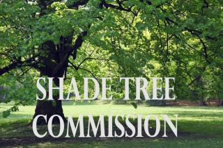 Shade Tree Commission Meeting